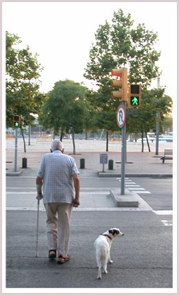 An image of a man walking with dog crossing the street